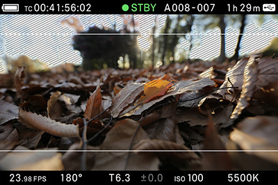 พรีวิว SIGMA fp กล้อง Full-frame Mirrorless เล็กที่สุดและเบาที่สุดในโลก