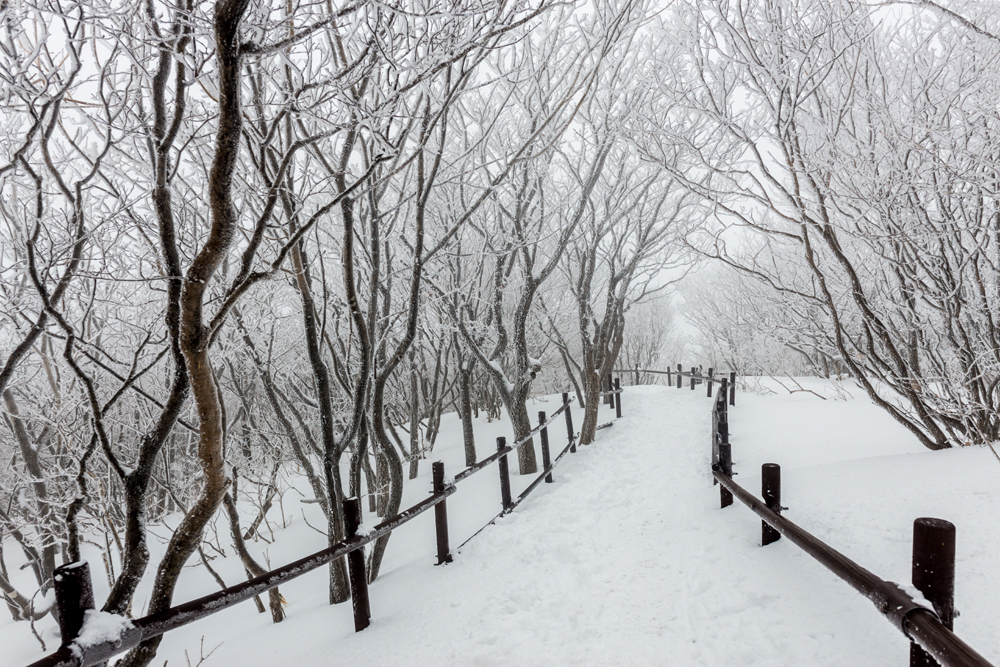 6 เทคนิคการถ่ายภาพกับหิมะ ในช่วงหน้าหนาว