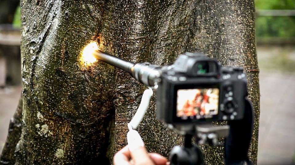 พรีวิวเลนส์ LAOWA 24mm F14 MACRO 2X (Cine Version) – SONY FE ในการถ่ายวิดีโอมืออาชีพ