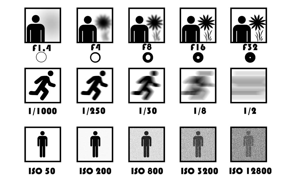 รวมพื้นฐาน ISO Sensitivity สำหรับมือใหม่ที่เริ่มต้นถ่ายภาพ,พื้นฐานการถ่ายภาพ,mirrorless,กล้องถ่ายรูป,การจัดการกับ Noise